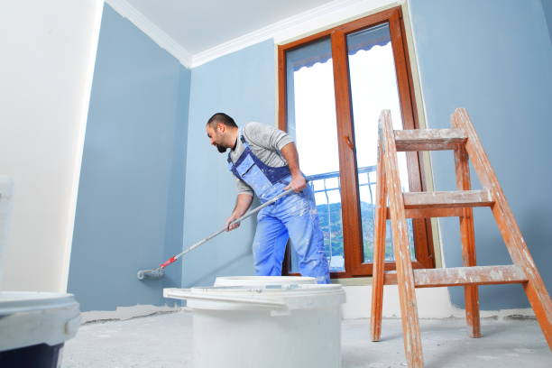 Professional Mold Removal in Nice, CA
