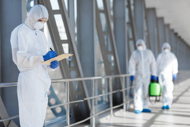 Best Mold Damage Restoration  in Nice, CA