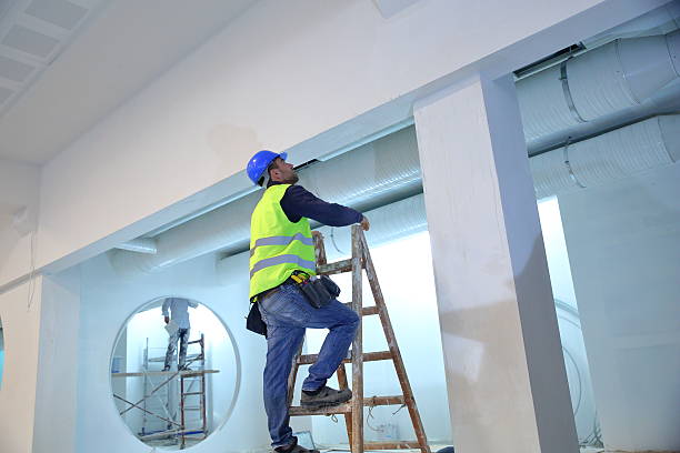 Best Post-Construction Mold Inspection  in Nice, CA