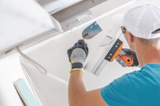  Nice, CA Mold Removal Pros